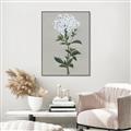 Picture of White flower I  _GroupedProduct_Rectangle_Portrait_Canvas_Framed_