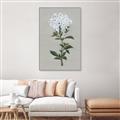 Picture of White flower I  _GroupedProduct_Rectangle_Portrait_Canvas_Framed_