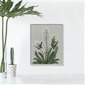 Picture of White flower II  _GroupedProduct_Rectangle_Portrait_Canvas_Framed_
