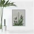 Picture of White flower II  _GroupedProduct_Rectangle_Portrait_Canvas_Framed_