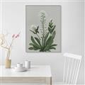 Picture of White flower II  _GroupedProduct_Rectangle_Portrait_Canvas_Framed_