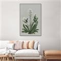 Picture of White flower II  _GroupedProduct_Rectangle_Portrait_Canvas_Framed_