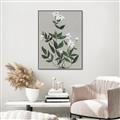Picture of White flower III _GroupedProduct_Rectangle_Portrait_Canvas_Framed_