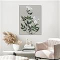 Picture of White flower III _GroupedProduct_Rectangle_Portrait_Canvas_Framed_