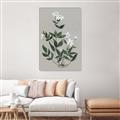 Picture of White flower III _GroupedProduct_Rectangle_Portrait_Canvas_Framed_