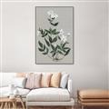 Picture of White flower III _GroupedProduct_Rectangle_Portrait_Canvas_Framed_
