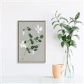 Picture of White flower IV _GroupedProduct_Rectangle_Portrait_Canvas_Framed_
