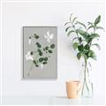 Picture of White flower IV _GroupedProduct_Rectangle_Portrait_Canvas_Framed_