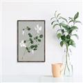 Picture of White flower IV _GroupedProduct_Rectangle_Portrait_Canvas_Framed_