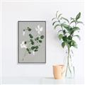Picture of White flower IV _GroupedProduct_Rectangle_Portrait_Canvas_Framed_
