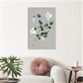 Picture of White flower IV _GroupedProduct_Rectangle_Portrait_Canvas_Framed_