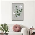 Picture of White flower IV _GroupedProduct_Rectangle_Portrait_Canvas_Framed_