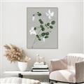 Picture of White flower IV _GroupedProduct_Rectangle_Portrait_Canvas_Framed_