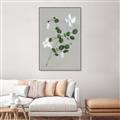 Picture of White flower IV _GroupedProduct_Rectangle_Portrait_Canvas_Framed_