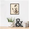 Picture of Vintage Botanical I  _GroupedProduct_Rectangle_Portrait_Canvas_Framed_