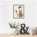 Picture of Vintage Botanical I  _GroupedProduct_Rectangle_Portrait_Canvas_Framed_
