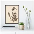 Picture of Vintage Botanical I  _GroupedProduct_Rectangle_Portrait_Canvas_Framed_