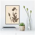 Picture of Vintage Botanical I  _GroupedProduct_Rectangle_Portrait_Canvas_Framed_