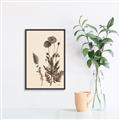 Picture of Vintage Botanical I  _GroupedProduct_Rectangle_Portrait_Canvas_Framed_