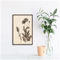 Picture of Vintage Botanical I  _GroupedProduct_Rectangle_Portrait_Canvas_Framed_