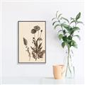 Picture of Vintage Botanical I  _GroupedProduct_Rectangle_Portrait_Canvas_Framed_