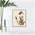 Picture of Vintage Botanical I  _GroupedProduct_Rectangle_Portrait_Canvas_Framed_