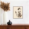 Picture of Vintage Botanical I  _GroupedProduct_Rectangle_Portrait_Canvas_Framed_