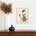 Picture of Vintage Botanical I  _GroupedProduct_Rectangle_Portrait_Canvas_Framed_