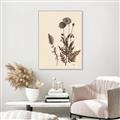 Picture of Vintage Botanical I  _GroupedProduct_Rectangle_Portrait_Canvas_Framed_