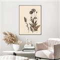 Picture of Vintage Botanical I  _GroupedProduct_Rectangle_Portrait_Canvas_Framed_