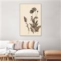 Picture of Vintage Botanical I  _GroupedProduct_Rectangle_Portrait_Canvas_Framed_