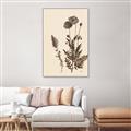 Picture of Vintage Botanical I  _GroupedProduct_Rectangle_Portrait_Canvas_Framed_