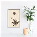 Picture of Vintage Botanical II  _GroupedProduct_Rectangle_Portrait_Canvas_Framed_