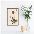 Picture of Vintage Botanical II  _GroupedProduct_Rectangle_Portrait_Canvas_Framed_