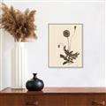 Picture of Vintage Botanical II  _GroupedProduct_Rectangle_Portrait_Canvas_Framed_