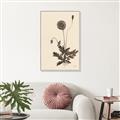 Picture of Vintage Botanical II  _GroupedProduct_Rectangle_Portrait_Canvas_Framed_