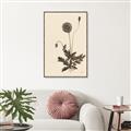 Picture of Vintage Botanical II  _GroupedProduct_Rectangle_Portrait_Canvas_Framed_