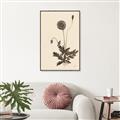 Picture of Vintage Botanical II  _GroupedProduct_Rectangle_Portrait_Canvas_Framed_
