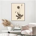 Picture of Vintage Botanical II  _GroupedProduct_Rectangle_Portrait_Canvas_Framed_