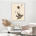 Picture of Vintage Botanical II  _GroupedProduct_Rectangle_Portrait_Canvas_Framed_