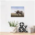 Picture of Roaming Around _GroupedProduct_Rectangle_Landscape_Unframed_Print_Only_