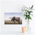 Picture of Roaming Around _GroupedProduct_Rectangle_Landscape_Unframed_Print_Only_
