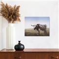 Picture of Roaming Around _GroupedProduct_Rectangle_Landscape_Unframed_Print_Only_