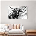Picture of Longhorn Larry _GroupedProduct_Rectangle_Landscape_Unframed_Print_Only_