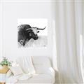 Picture of Sketched Horned Cow _GroupedProduct_Square_Unframed_Print_Only_