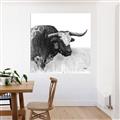 Picture of Sketched Horned Cow _GroupedProduct_Square_Unframed_Print_Only_