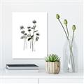 Picture of Black Botanical I  _GroupedProduct_Rectangle_Portrait_Unframed_Print_Only_