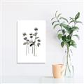 Picture of Black Botanical I  _GroupedProduct_Rectangle_Portrait_Unframed_Print_Only_