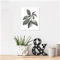 Picture of Black Watercolour Botanical I _GroupedProduct_Rectangle_Portrait_Unframed_Print_Only_