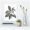 Picture of Black Watercolour Botanical I _GroupedProduct_Rectangle_Portrait_Unframed_Print_Only_
